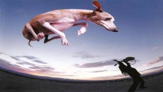 Paul Gilbert - Flying Dog (Full Album)