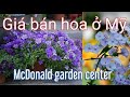 Giá bán hoa ở Mỹ | McDonald garden center