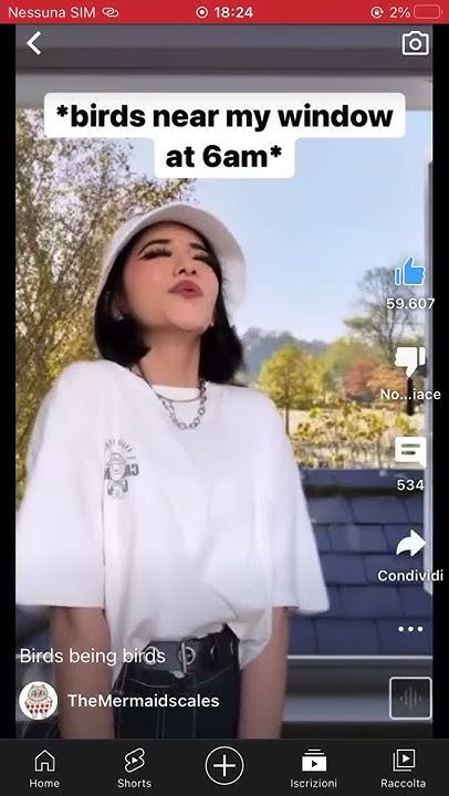 Me and the birds - YouTube