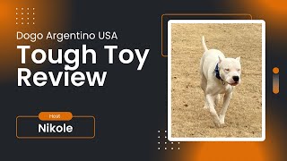 Tough Toy Testimonial for Dogo Argentino Dogs by Dogo Argentino USA 711 views 7 months ago 3 minutes, 11 seconds