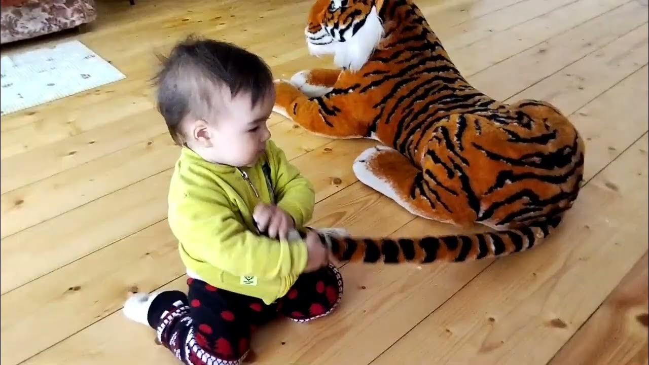 Что за лев этот тигр🐅 - YouTube
