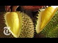 1.000 δολάρια για ένα καρπό Durian, του πιο βρομερού φρούτου!