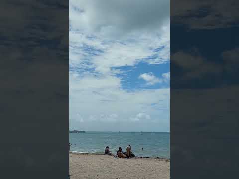 Mission bay beaches in Auckland New Zealand. Rangitoto island view♧♤♡