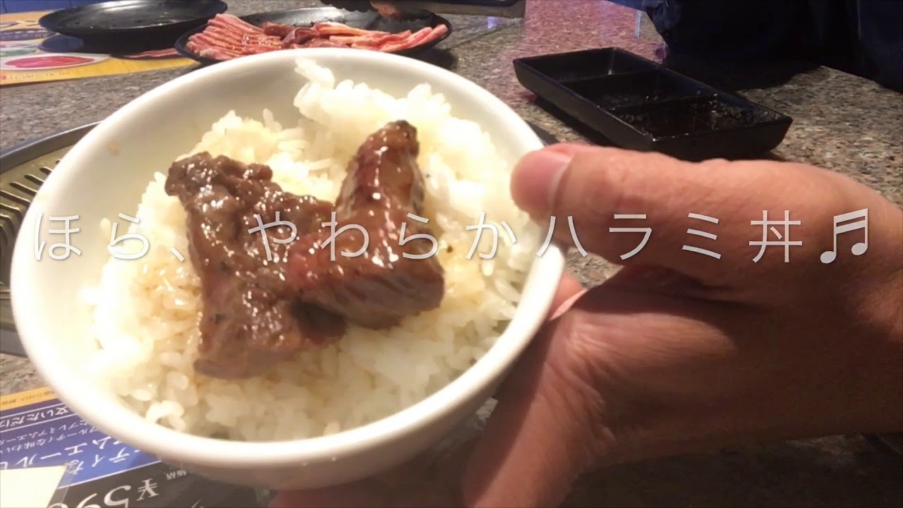 焼肉倶楽部 いちばん 姫路店 の 平日食べ放題ランチ Youtube