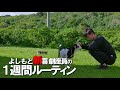 【よしもと新喜劇座員】リアルな1週間～西表島で子ヤギと仲良くなった～