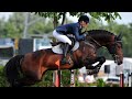 Equestrian Sport♡Небо♡конный спорт