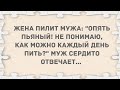 Как можно каждый день пить? Подборка веселых анекдотов! Приколы!