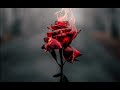 Burning Rose (Melody Beat Production) prod. Dinos