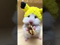 Pikachu Turned Into a Hamster and Nobody Noticed ⚡🐹#hamster #hamstertok #cutepets #hamsterlife #fyp