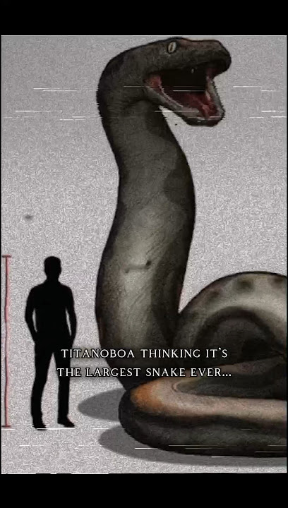The snake BIGGER than the titanoboa... #titanoboa #vasukiindicus #snake #prehistoric #oldearth #edit