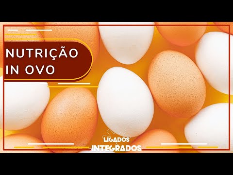 Suplemento para frango de corte pode começar antes do nascimento | Ligados & Integrados – 28/04/2021