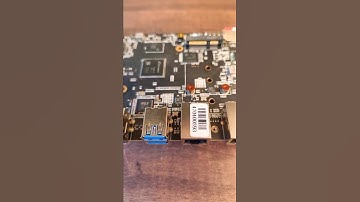 WrongDog Talks With You | RISC-V Development Boards
