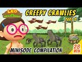 Creepy Crawlies Minisode Compilation (Part 2/2) - Leo The Wildlife Ranger | Animation | For Kids