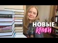 КНИЖНЫЕ ПОКУПКИ 🔥 | фэнтези, детективы и горячие новинки!