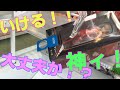 新しくできたラウワンに行きます【UFOキャッチャー日記#12】