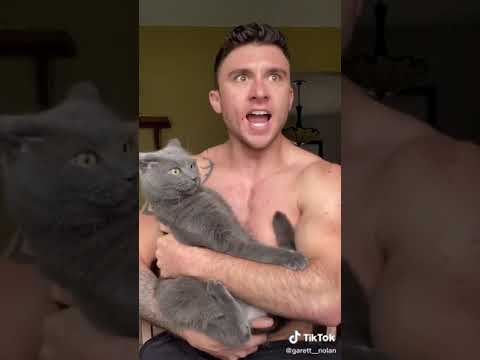 Cat bites man