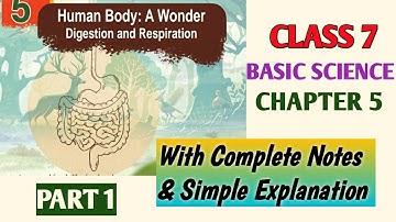 Class 7 Basic Science Chapter 5 Human body Wonder Digestion and Respiration Kerala Syllabus| Part 1