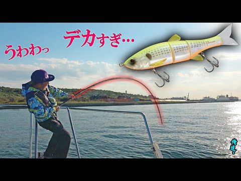 ダウスイで釣れまくる海にコノシロを直接、落としてみた!