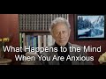 What Happens To the Mind When You Are Anxious