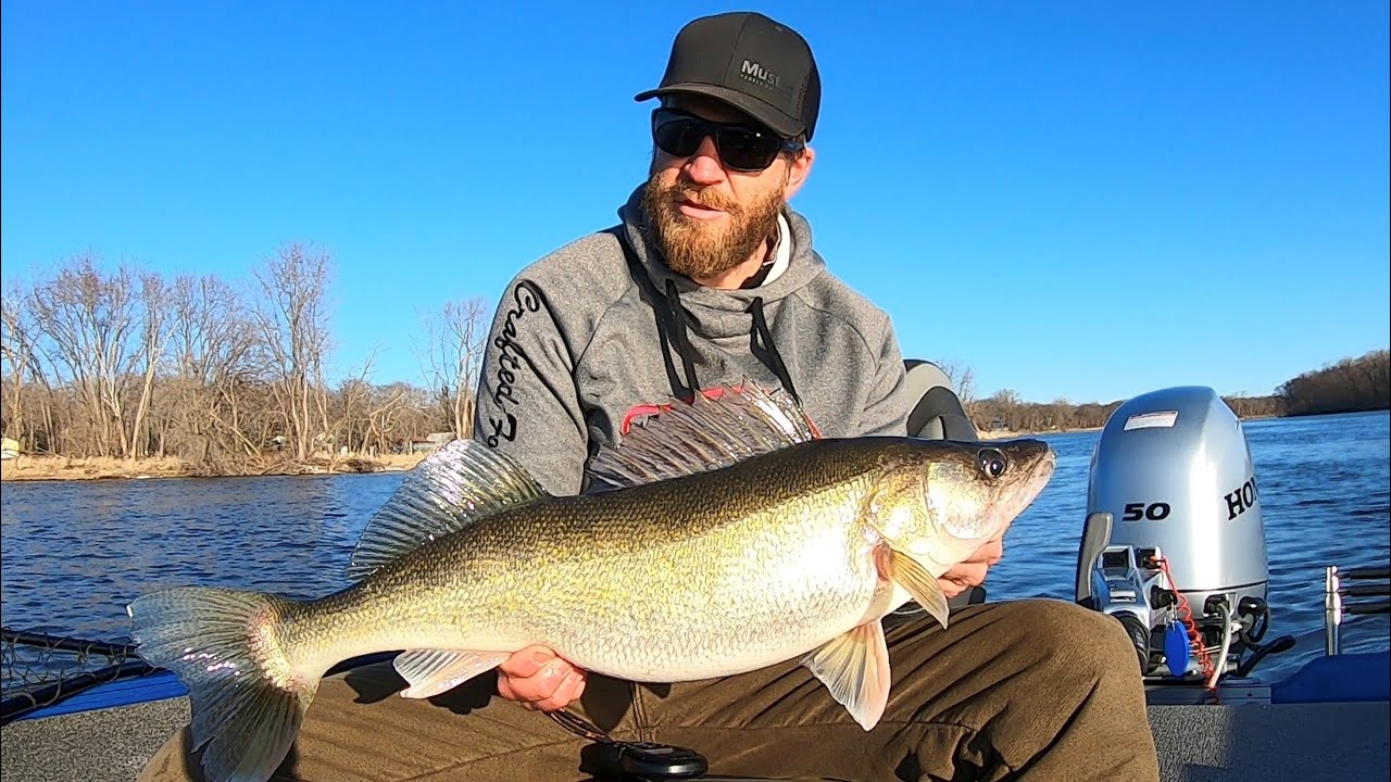 Pitching Plastics for Shallow Water Walleyes Spring Mississippi River