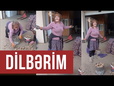 Dilbərim / Bağa girmərəm sənsiz / Gülü dərmərəm sənsiz / Gözəl səs gözəl ifa / Elnarə Vahidova