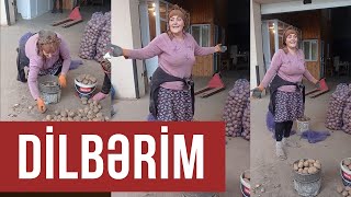 Dilbərim / Bağa girmərəm sənsiz / Gülü dərmərəm sənsiz / Gözəl səs gözəl ifa / Elnarə Vahidova Resimi