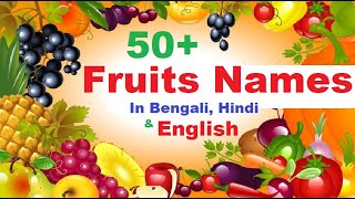 Fruits names in Bengali English And Hindi with Images ll বাংলা ফলের নাম ll Fruits Names with Picture