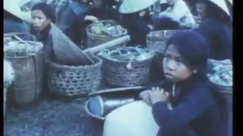 holiday in cambodia dead kennedys (with lyrics)