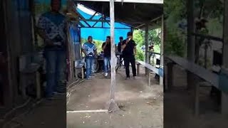 Cover Lagu Simalungun Torsuk
