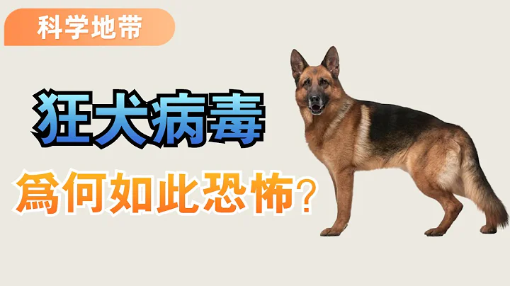 狂犬病毒为何如此恐怖？ 0.01%的生还率是怎么来的，要注意什么？ - 天天要闻