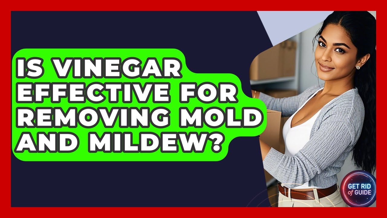Is Vinegar Effective for Removing Mold and Mildew? - Get Rid Of Guide