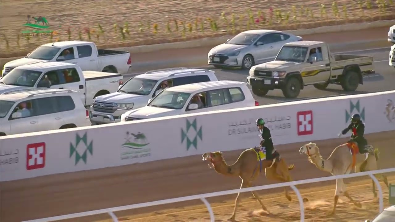 الشوط 3 كأس هجانة - سيدات #دوري_هجان 2026