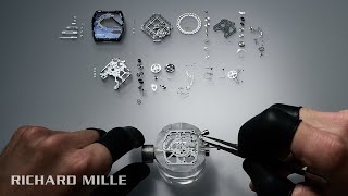 Savoir-faire RM 30-01 Automatic with Declutchable Rotor - RICHARD MILLE