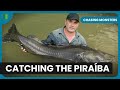 Fishing in the amazon rain forest  chasing monsters  nature  adventure documentary