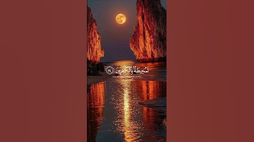 تلاوة هادئة تريح القلب #قران_كريم #قرآن #لايك #المصحف #explore #اكسبلور