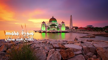 سورة محمد من صلاة التهجد بمسجد التوحيد بشبرا للقارىء هيثم سلمان 1439