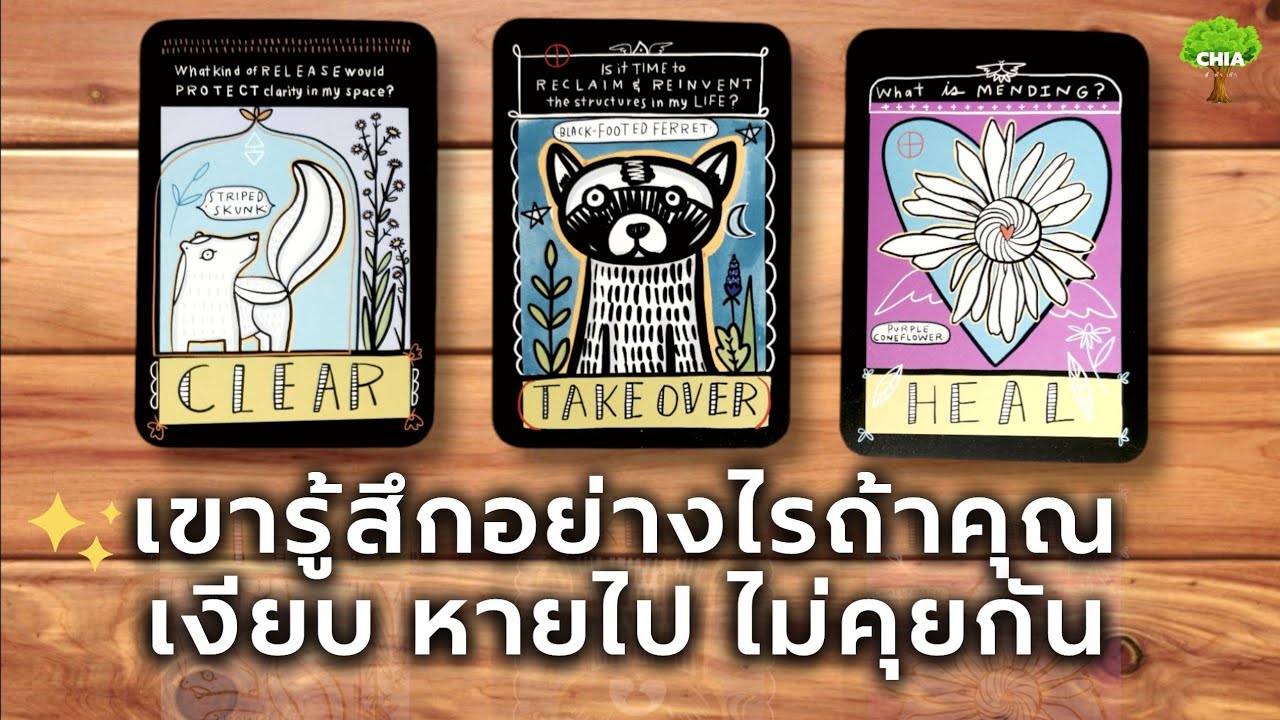 Pick a card เขา​รู้สึก​อย่างไร ถ้าคุณเงียบหายไป​ ไม่ได้คุยกัน 🚨