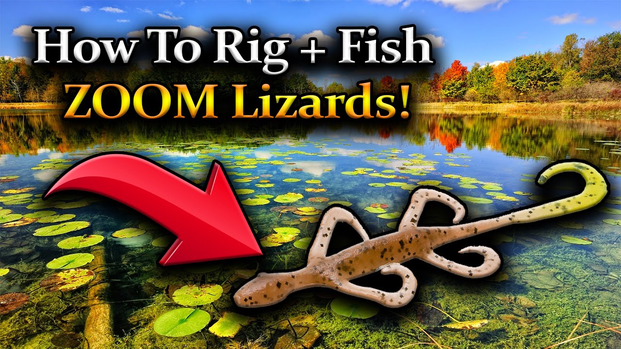 HOW TO RIG ZOOM LIZARDS FOR BASS! HOW TO FISH ZOOM LIZARDS! NEW ENGLAND BASS  FISHING! 