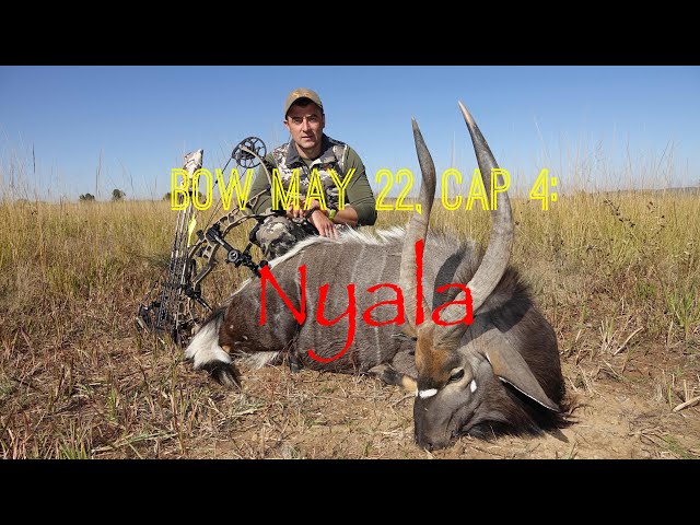 Africa Bow hunting: Nyala. Cap 4 Hoyt Ventum pro, onca gear.