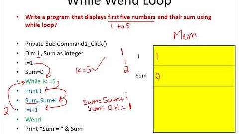 WHILE WEND LOOP PROGRAMS | VISUAL BASIC | BSC PART 1