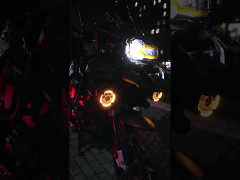 Этот гусь 🪿 не боится темноты! 💡🏍️