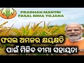 ଫସଲ ଅମଳର କ୍ଷୟକ୍ଷତି ପାଇଁ ମିଳିବ ବୀମା ସହାୟତା|Breking News|latest news|today News|update news|News live