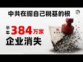 半年384萬家企業消失，財政居然還漲4.7%？兩數同時為真！這是台逐層抽血的機器，四層樓從利潤最薄的燒起，燒的全是自己的稅基；2028年10月燒穿紅線，企業榨完，下一個是你的錢包！