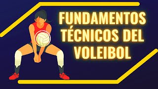 Fundamentos del Voleibol: Fundamentos Técnicos del Voleibol