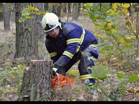 Video: Aké je najlepšie palivo pre motorové píly?