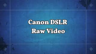 : Canon 600D Raw Video *   "  "