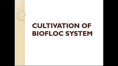 Biofloc Fish Farming Online Training (Part--1)