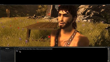 Divinity II: Developer