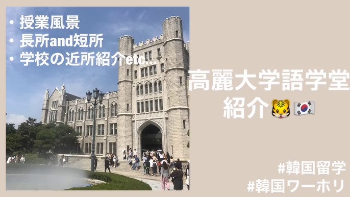 韓国旅行 高麗 コリョ 大学の文化祭に行ってみた 고려대학교 축제 먹방 한일커플 日韓カップル モッパン Youtube