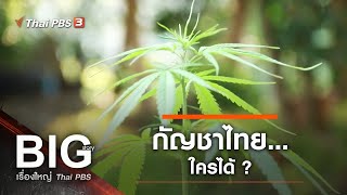 กัญชาไทย…ใครได้ ? : Big Story เรื่องใหญ่ Thai PBS (27 พ.ค. 64)